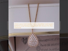 Van de Luxe Gouden Juwelen van China van de Fabrieksserpereal van het Serpentboheme Gouden Lang de Halsband Groot Motief met Broche Pin Pave Diamonds